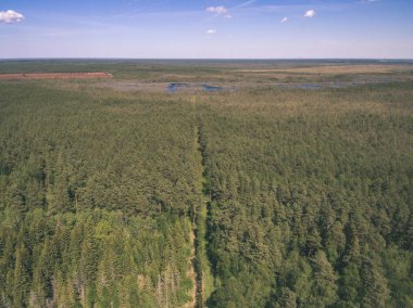 drone görüntü. alanları ve ormanları ve bulutlu bahar günü nehir su yansımalar kırsal alan hava görünümünü. Letonya - vintage eski film bakmak