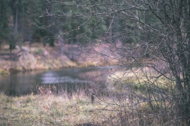 kısa bir süre önce kış, donuk sonbahar renkleri ve ağaç gövdeleri - vintage eski film bakmak ile boş park dallarında son renkli yaprakları ile yalnız ağaçlar