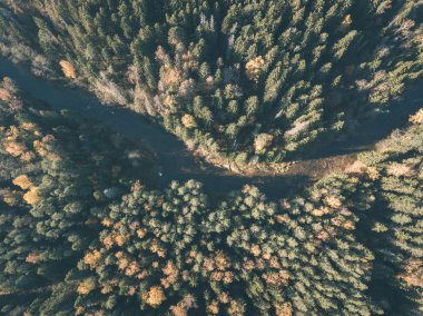 drone görüntü. sonbahar renkli ormandaki dalgalı Nehri'nin havadan görünümü. Letonya, nehir gauja - vintage eski film bakmak