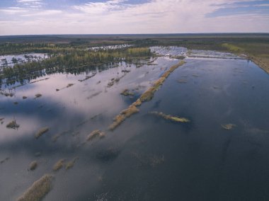 drone görüntü. alanları ve ormanları ve bulutlu bahar günü nehir su yansımalar kırsal alan hava görünümünü. Letonya - vintage eski film bakmak