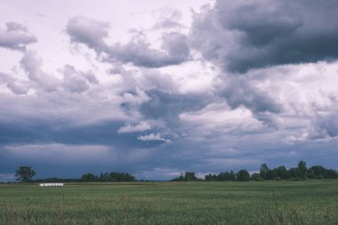 fırtına bulutları yeşil çayır ve yaz aylarında bazı ağaçlar üzerinde