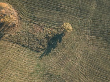 drone görüntü. hava alanları ve sarı renkli bulutlu sonbahar günü ormanlarda kırsal alan görünümünü ağaçlar gün düşer. Letonya - vintage eski film bakmak