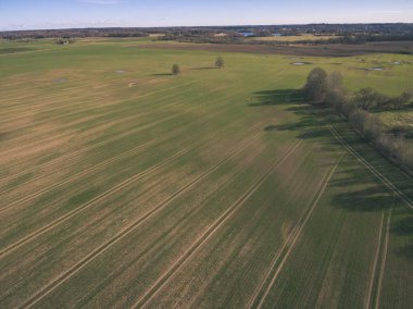 drone görüntü. alanları ve ormanları ve bulutlu bahar günü nehir su yansımalar kırsal alan hava görünümünü. Letonya - vintage eski film bakmak