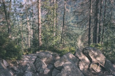kayalık yürüyüş parkurları Batı Karpat Slovakya'daki Tatra Dağları turistler için. yaz günü yürüyüş ve macera için temizleyin
