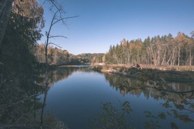sonbahar renkli ülkede orman nehir. vintage eski film Nehri Cesis şehir - Letonya Gauja bak