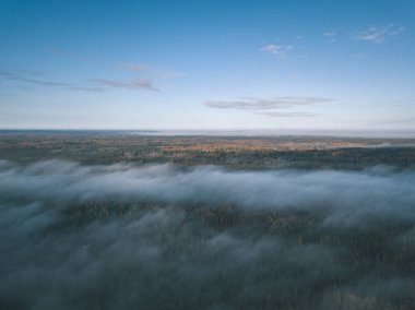 drone görüntü. hava alanları ve ormanları ile kırsal alan görünümünü sonbahar sis kaplı. Letonya - vintage eski film bakmak