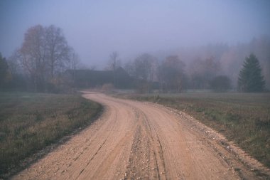 duyu veya zihin hoş estetik ülkede çakıl yol sonbahar renk sonbahar renk sis ile ve her iki tarafta - vintage eski film sisli ağaçlar bak