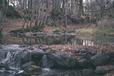 şelale üzerinde Nehri akış ormanda çıplak ağaçlar ile geç sonbaharda ve gri renklerde doğada - vintage eski film bakmak kayalarda