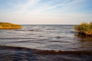 deniz plaj manzarası bulutlar ve sakin su ile