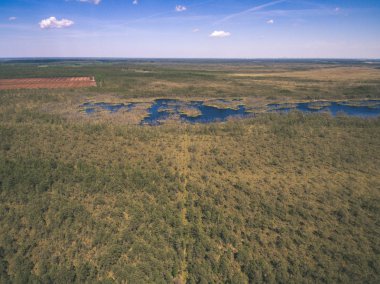 drone görüntü. alanları ve ormanları ve bulutlu bahar günü nehir su yansımalar kırsal alan hava görünümünü. Letonya - vintage eski film bakmak