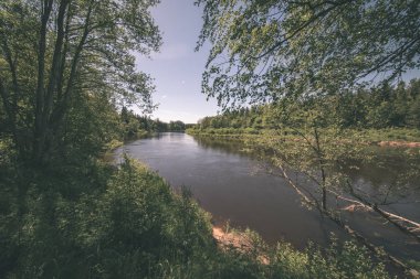 sakin Nehri yakınındaki Cesis, Letonya ağaçlarının yansımaları ile. Gauja Nehri