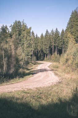 renkli yaprakları - vintage eski film bakmak ile sonbahar ormanda yürüyüş iz