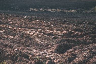 parlak gün ışığı tarafında - vintage eski film bakmak renkli ağaçlar ile geç sonbaharda boş taze ekili tarım alanında