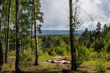 kayalık sahil şeridine Norveç'te kaç çam ağaçları ve mavi gökyüzü altında sakin su
