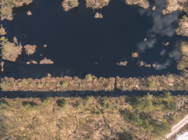 drone görüntü. alanları ve ormanları ve bulutlu bahar günü nehir su yansımalar kırsal alan hava görünümünü. Letonya - vintage eski film bakmak