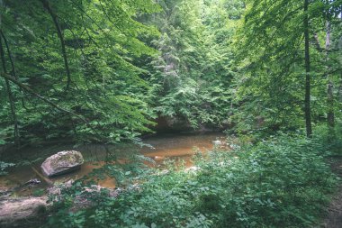 yaz, ormandaki güzel kayalık akarsu. Letonya Cesis yakınındaki nehirde Amata 