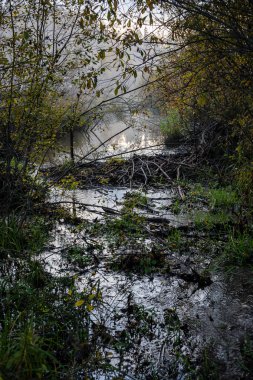 su yansımalar ve dramatik fırtına bulutları yukarıdaki güzel göl