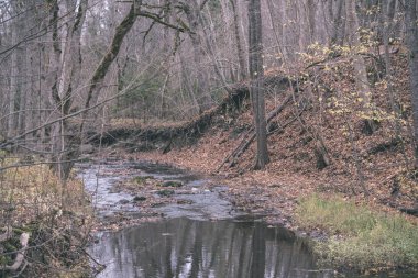 sonbahar renkli ağaçlar ve dalları bir su parkı bırakır. vintage eski film ülke yan yatay görünüm - bak