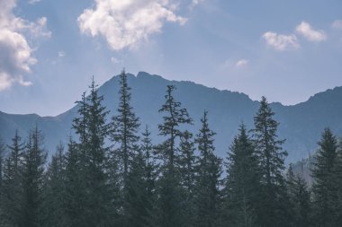 Batı Karpat dağ başında sonbaharda bulutlu gökyüzü altında 