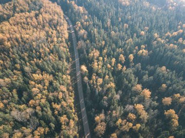 drone görüntü. çakıl yol sonbahar renkli alanları ve ormanları ile kırsal alan hava görünümünü. Letonya - vintage eski film bakmak