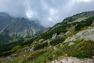 Turistik yürüyüş parkurları ile Batı Karpat Dağları. Tatra, Slovakya