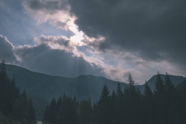 güzel Batı Karpat Tatra dağ manzarası yeşil alanları ve ormanları ön planda. Yaz aylarında yürüyüş parkurları Slovakça