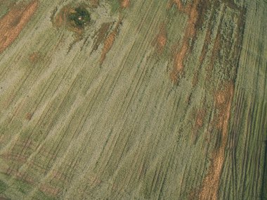 drone görüntü. alanları ve ormanları ve bulutlu bahar günü nehir su yansımalar kırsal alan hava görünümünü. Letonya - vintage eski film bakmak