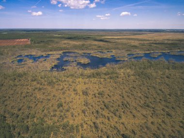 drone görüntü. alanları ve ormanları ve bulutlu bahar günü nehir su yansımalar kırsal alan hava görünümünü. Letonya - vintage eski film bakmak