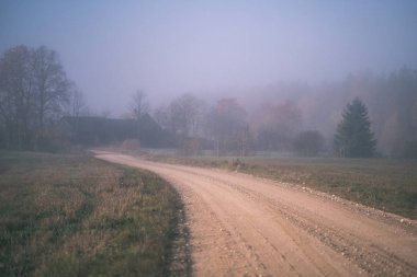 duyu veya zihin hoş estetik ülkede çakıl yol sonbahar renk sonbahar renk sis ile ve her iki tarafta - vintage eski film sisli ağaçlar bak