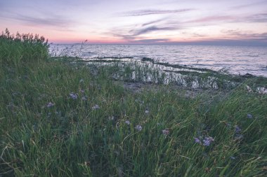 Kırmızı günbatımı renkleri ve Baltık Denizi üzerinde sakin su ve güneş yansımaları Estonya ile doymuş 