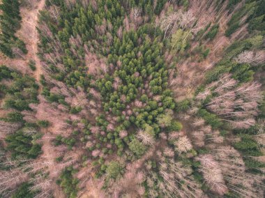 drone görüntü. alanları ve ormanları ve bulutlu bahar günü nehir su yansımalar kırsal alan hava görünümünü. Letonya - vintage eski film bakmak