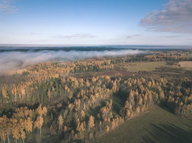 drone görüntü. hava alanları ve ormanları ile kırsal alan görünümünü sonbahar sis kaplı. Letonya - vintage eski film bakmak