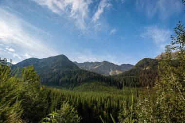 erken sonbahar renkleri içinde ağaçlar ve ormanlar ile kaplı bulutlu ve sisli Slovakça Western Karpat Tatra dağ manzarası