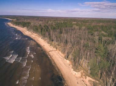 drone görüntü. kırsal alan kayalık plaj Baltık Denizi ile hava görünümünü. sakin gün - vintage eski film bakmak uzak ufuk