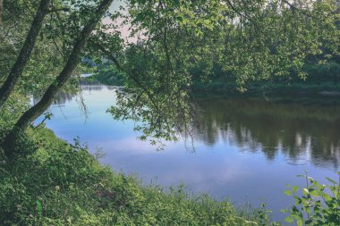 sakin Nehri yakınındaki Cesis, Letonya ağaçlarının yansımaları ile. Gauja Nehri