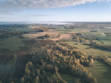 drone görüntü. hava alanları ve ormanları ile kırsal alan görünümünü sonbahar sis kaplı. Letonya - vintage eski film bakmak