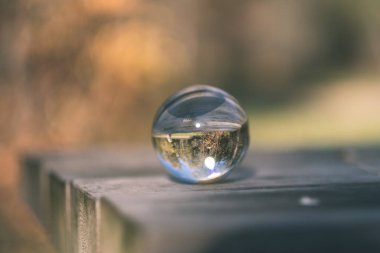 vintage eski film lensball çevresinde - sonbahar yansıtan doğada bak