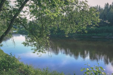 sakin Nehri yakınındaki Cesis, Letonya ağaçlarının yansımaları ile. Gauja Nehri