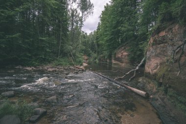 yaz, ormandaki güzel kayalık akarsu. Letonya Cesis yakınındaki nehirde Amata 