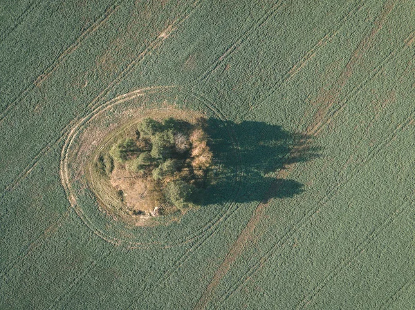 drone image. aerial view of rural area with fields and forests in cloudy autumn day with yellow colored fall trees day. latvia - vintage old film look