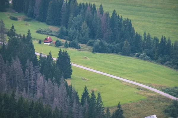 Krásné Západní Karpaty Tatra Horské Panorama Zelenými Poli Lesy Popředí — Stock fotografie