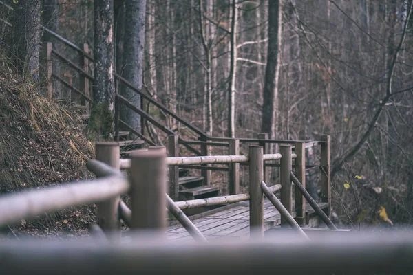 Деревянный Мост Через Воду Лесу Осенью Серыми Цветами Старинная Пленка — стоковое фото