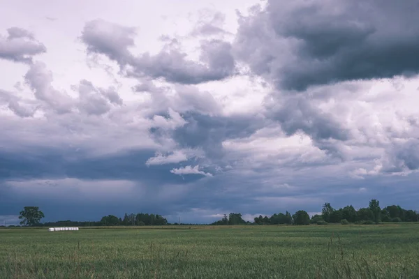 Nuvens Tempestade Sobre Prado Verde Algumas Árvores Verão — Fotografia de Stock