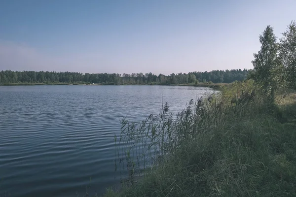Naturen Reflektioner Klart Vatten Sjön Eller Floden Landsbygden Höstfärger Vintage — Stockfoto