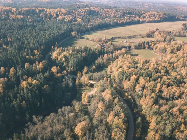 Drone Bild Flygfoto Över Vågiga Floden Höstens Färgade Skog Gauja — Stockfoto