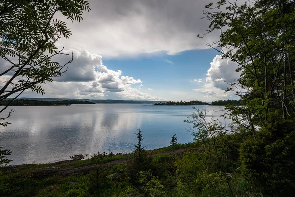 Rotsachtige Kustlijn Noorwegen Met Paar Pijnbomen Rustig Water Onder Blauwe — Stockfoto