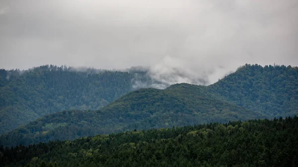 Molnigt Och Dimmiga Slovakiska Västra Karpaterna Tatra Mountain Skyline Täckt — Stockfoto