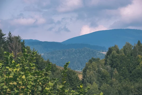 Beautiful Western Carpathian Tatra Mountain Skyline Green Fields Forests Foreground — Stock Photo, Image