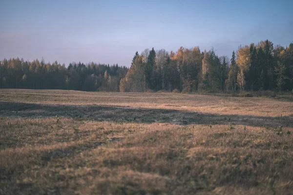 Champ Agricole Vide Fraîchement Cultivé Fin Automne Plein Jour Avec — Photo