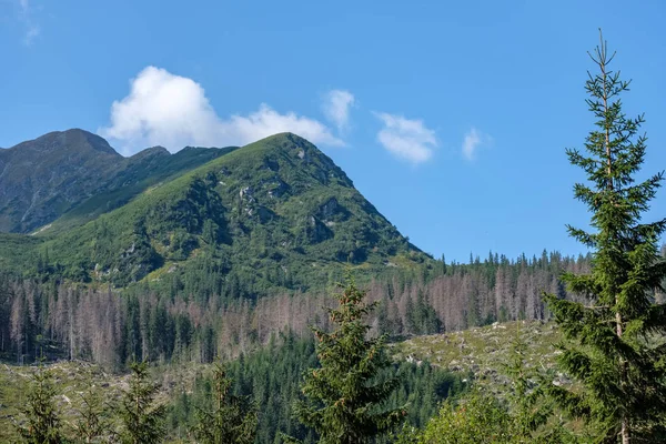 観光ハイキング トレイル タトラ スロバキアの西部のカルパティア山脈 — ストック写真